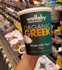 yogurt natural probiotic