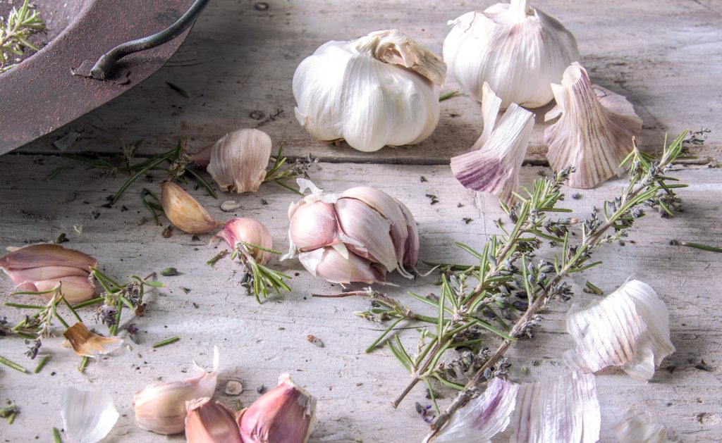 Garlic Natural Antibiotic