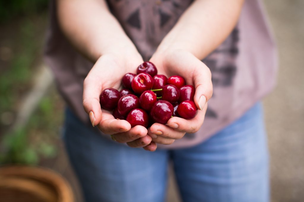 Handful of healthy cranberries