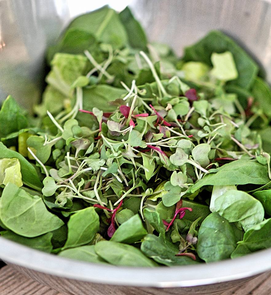 Rachel Maser's Salad Prep Ideas