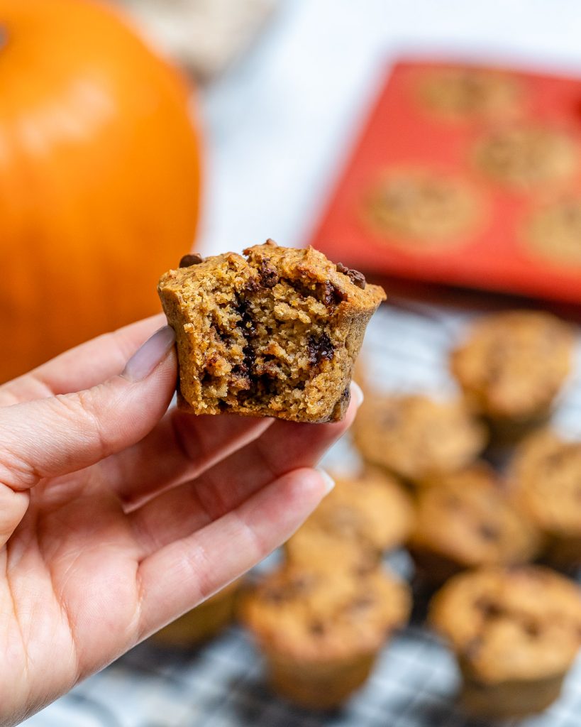 Chocolate Chip Pumpkin Spice Muffins for Healthy Holiday Treats