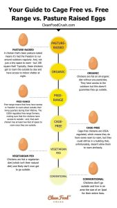 A Guide to Cage Free Vs. Free-Range Vs. Pasture Raised Eggs Clean