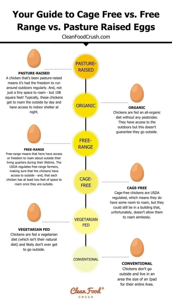 A Guide to Cage Free Vs. Free-Range Vs. Pasture Raised Eggs | Clean ...