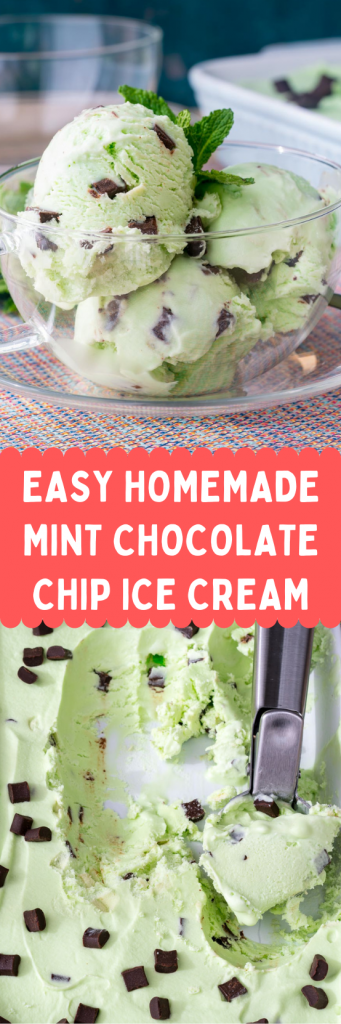 Easy Homemade Mint Chocolate Chip Ice Cream | Clean Food Crush