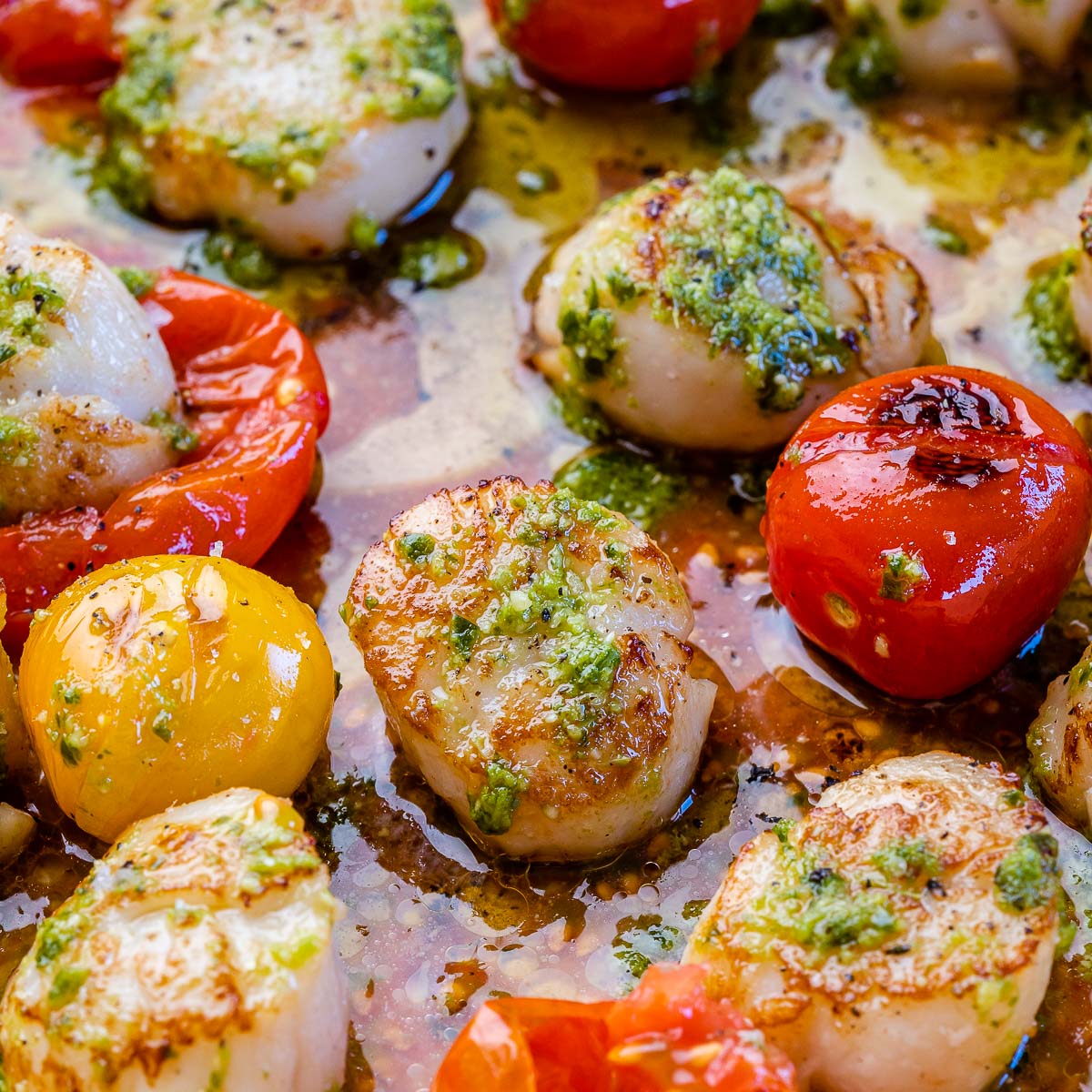 seared scallops recipe