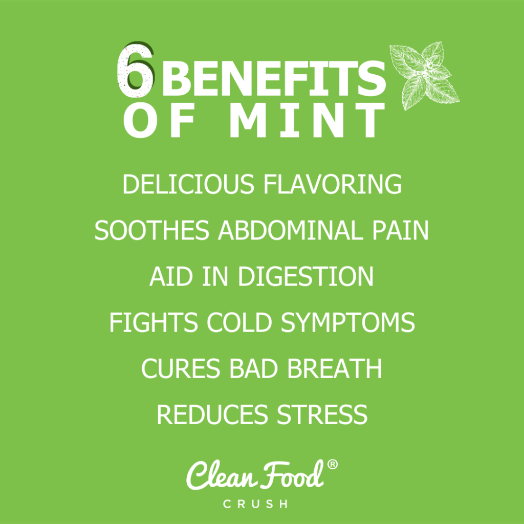 6 Uses and Benefits of Mint Clean Food Crush