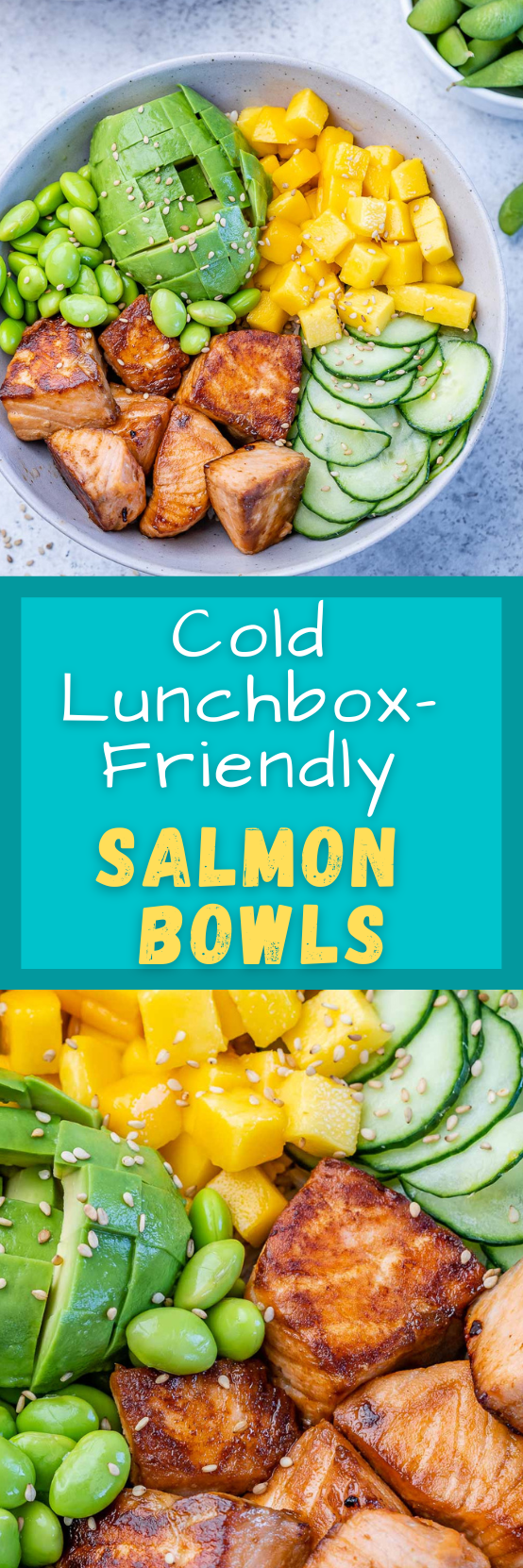 UVI Self Heating Lunch Box with UV Light Sanitizer Salmon