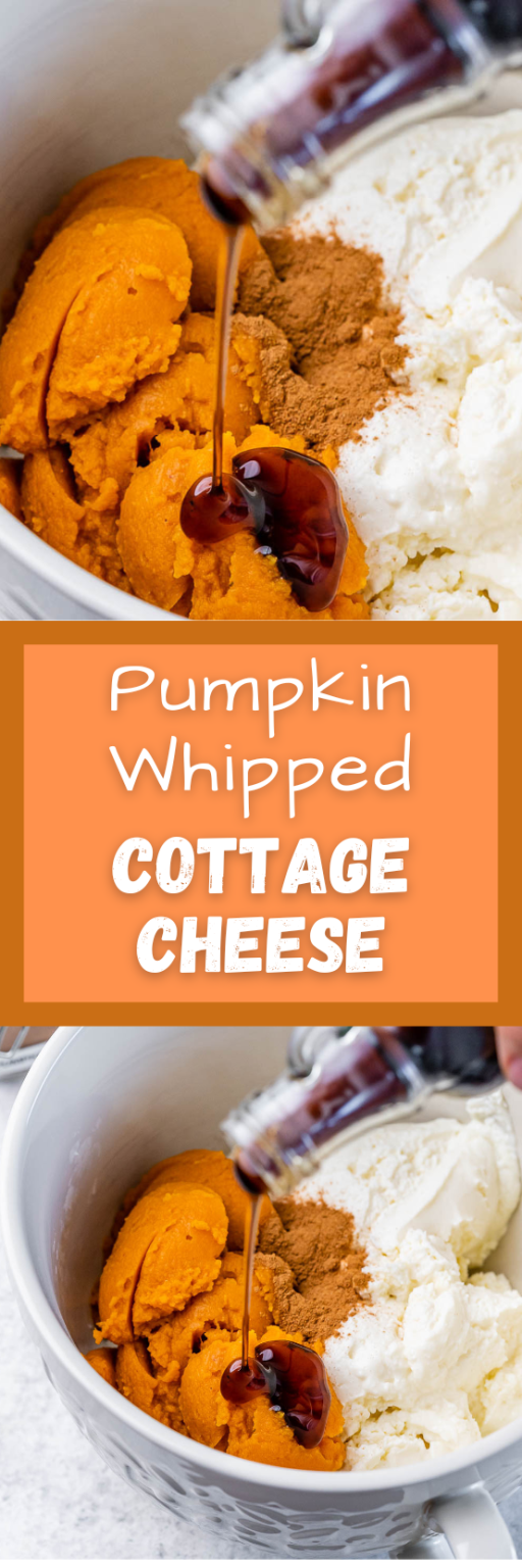 PumpkinWhipped Cottage Cheese Clean Food Crush
