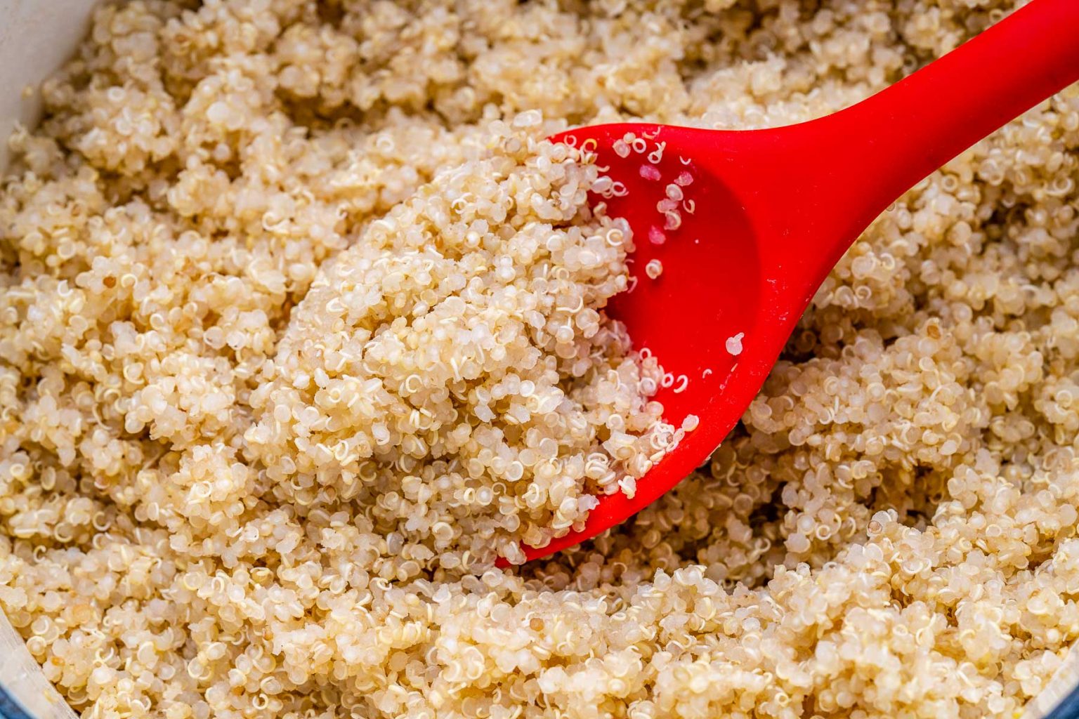 How to Cook Quinoa – BONUS Salad | Clean Food Crush